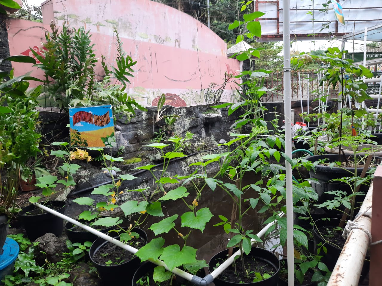 Laboratorium Kebun IPA